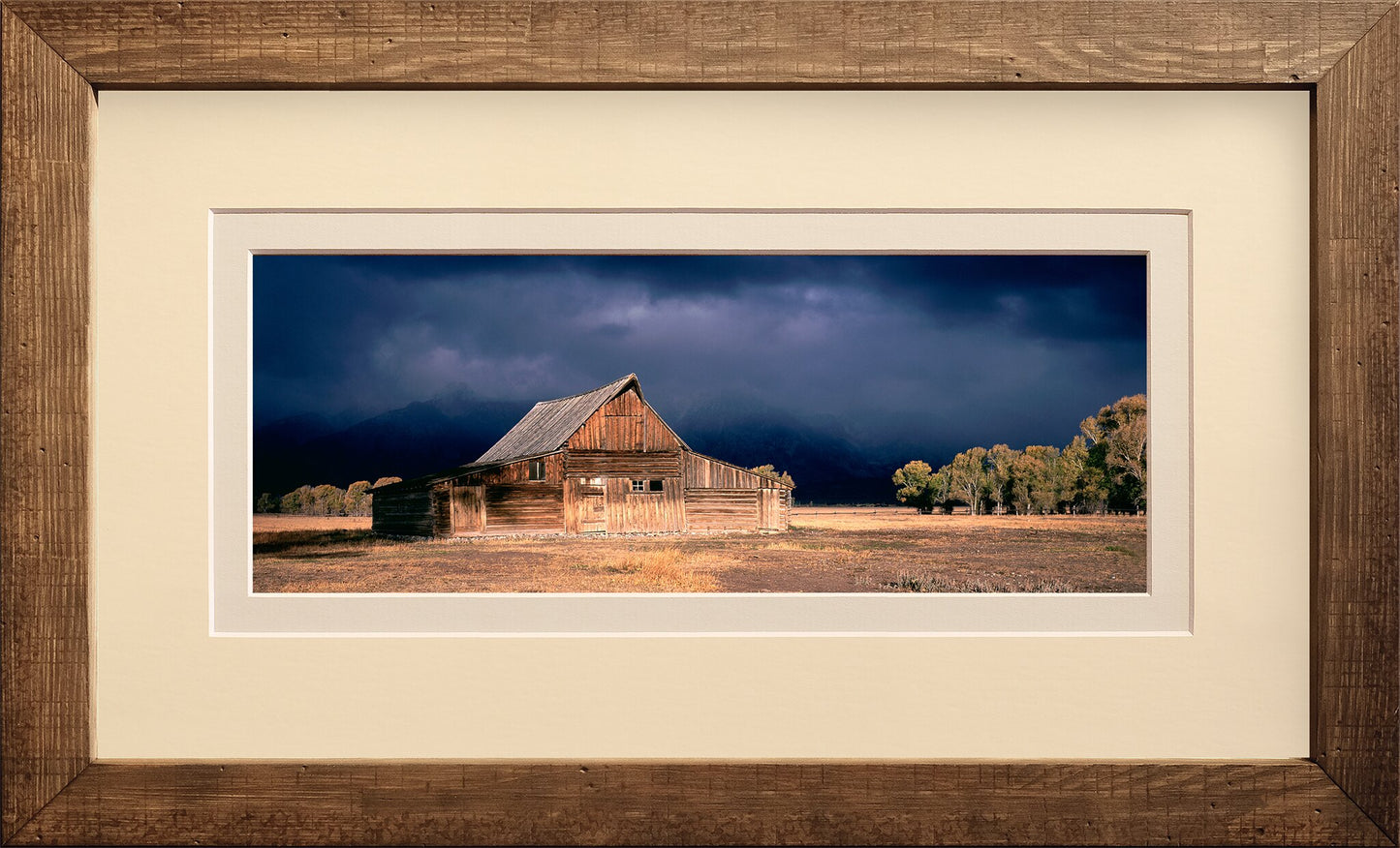 Moulton Storm
