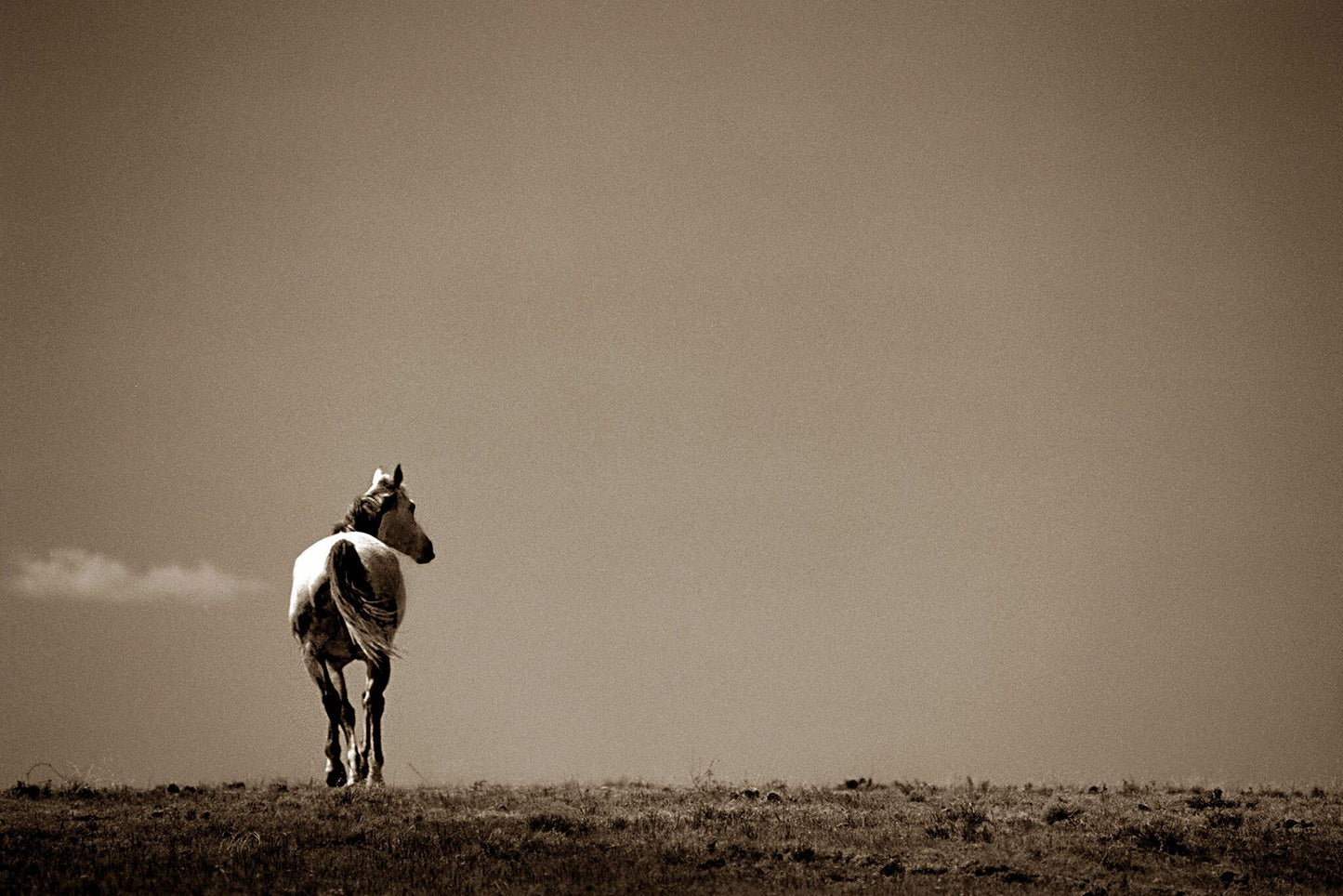 No Looking Back
