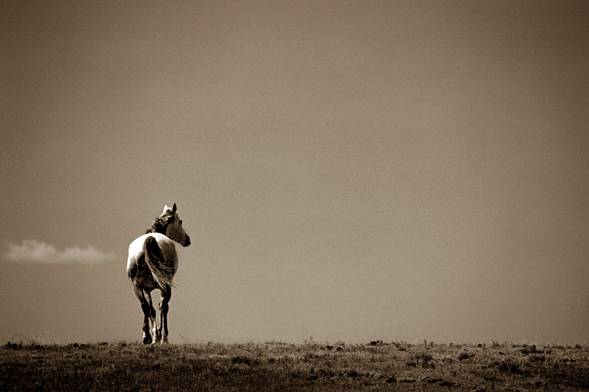 No Looking Back