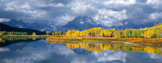 Oxbow Reflections