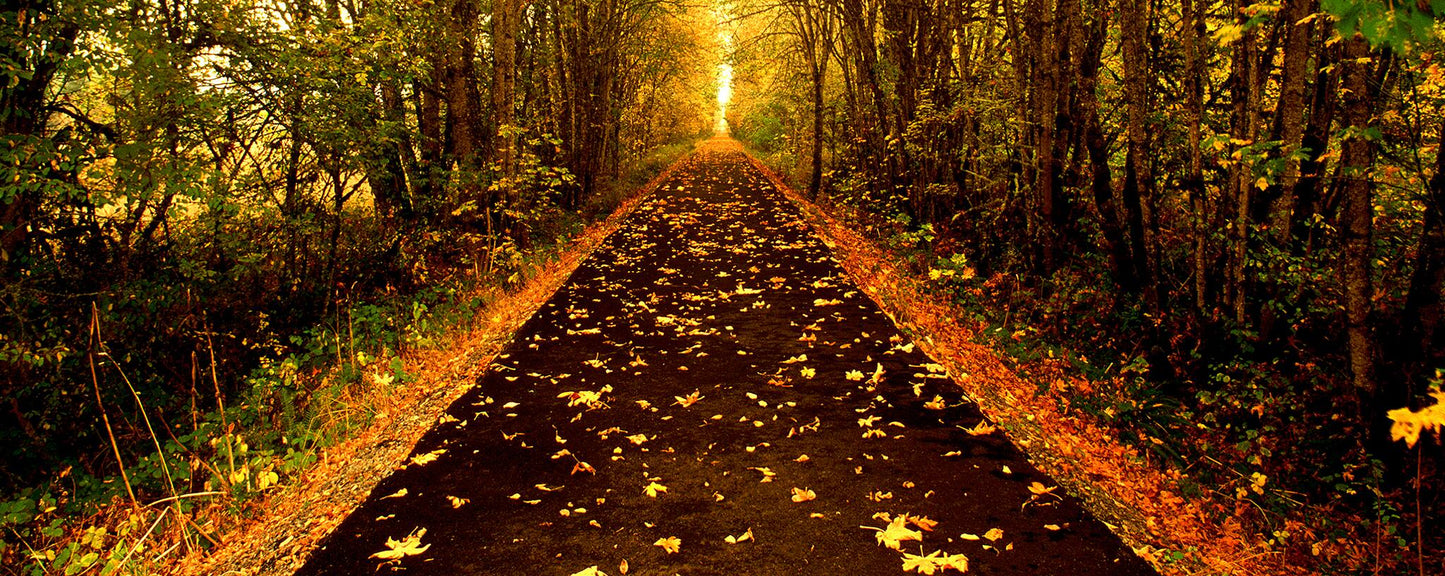Passage