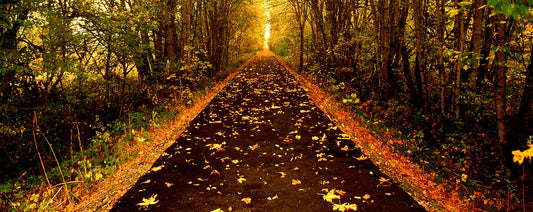 Passage
