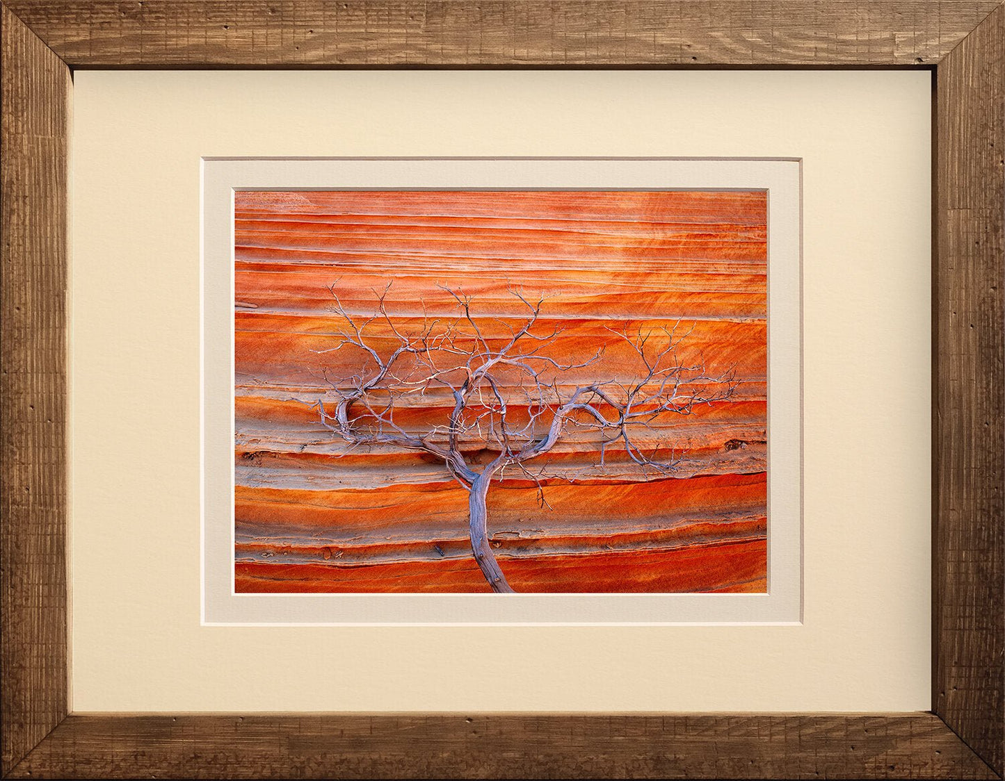 Red Earth