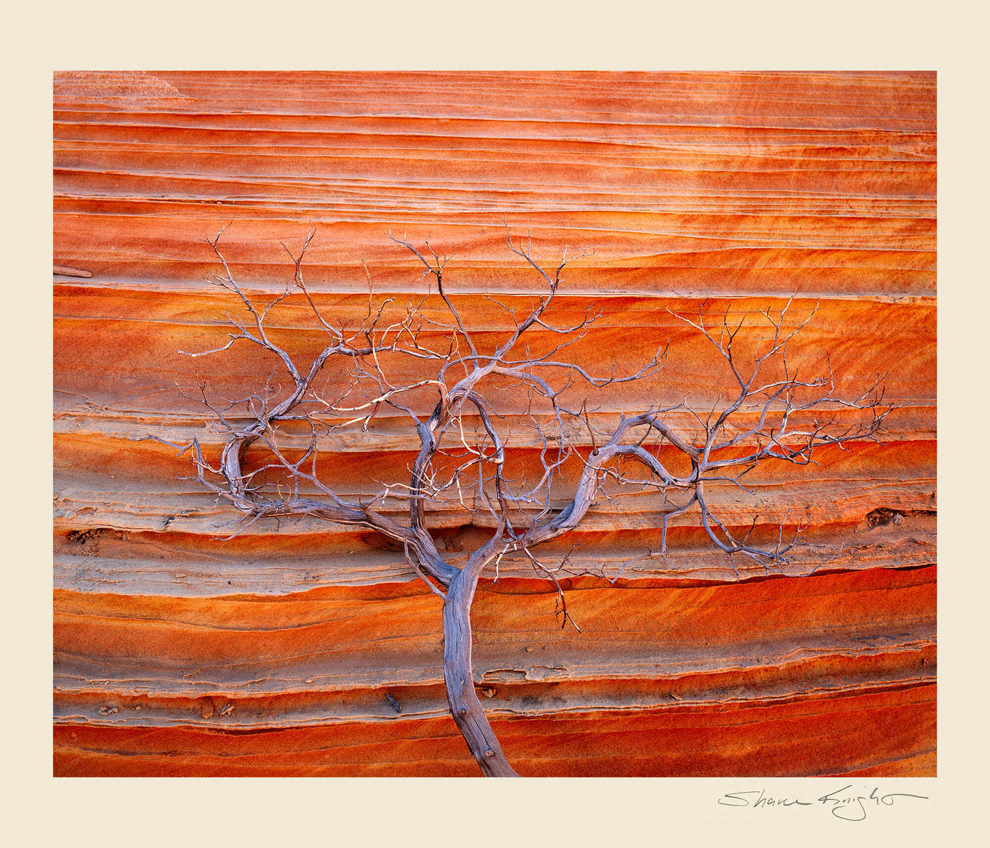 Red Earth