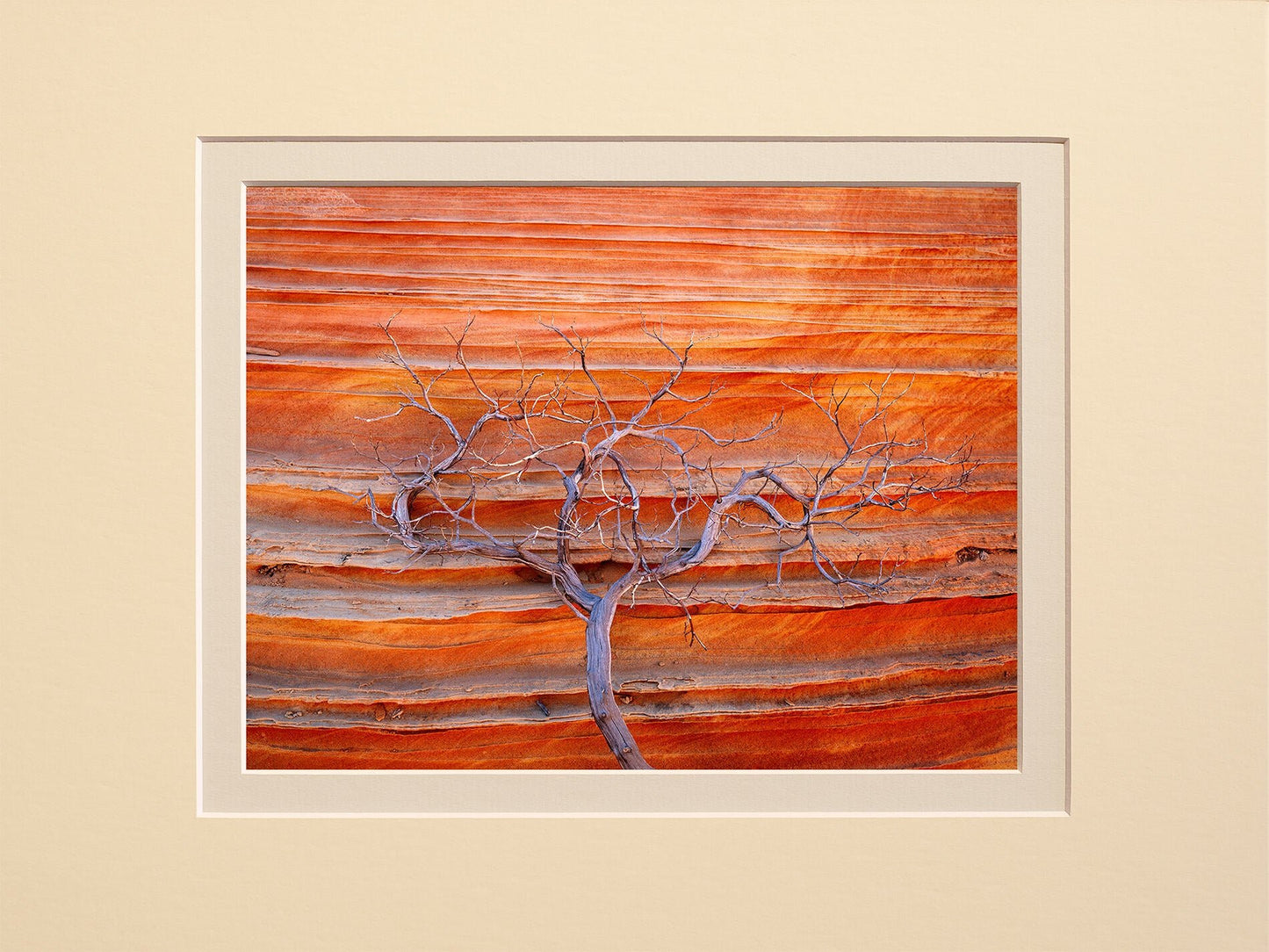 Red Earth
