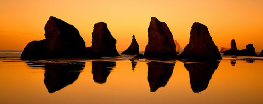 Reflections of the Past