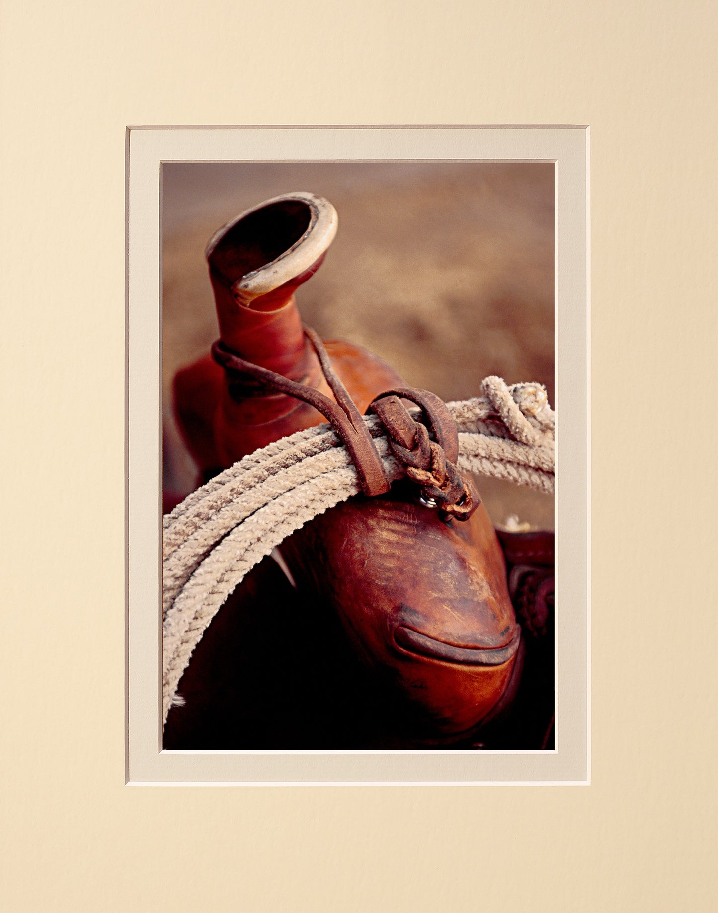 Saddle Horn
