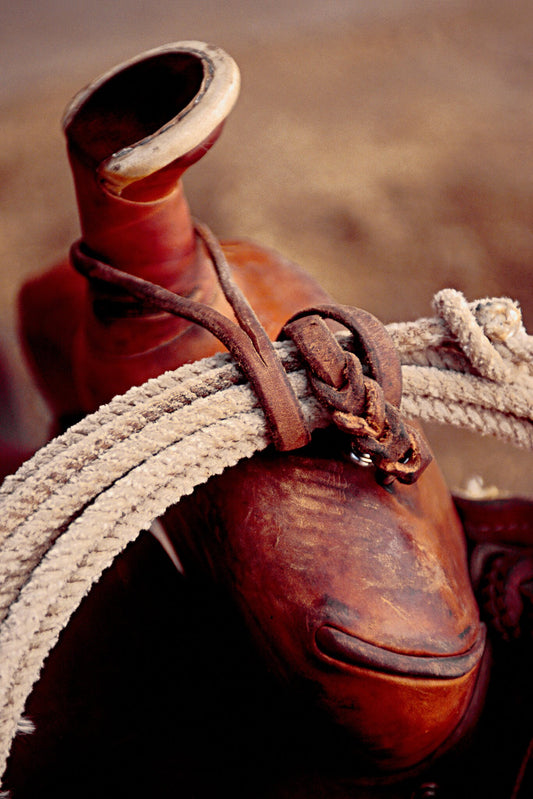 Saddle Horn