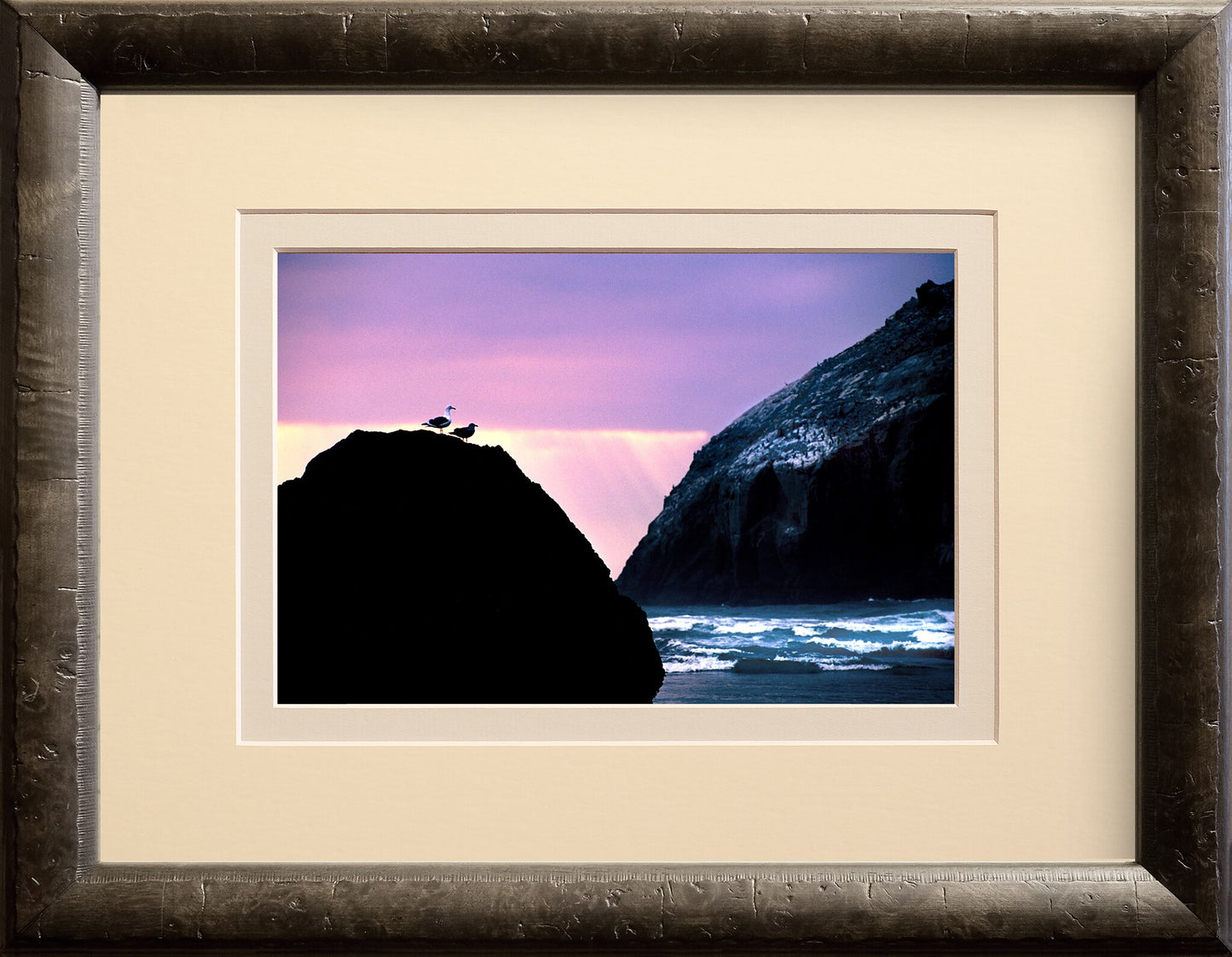 Seagulls Sunset