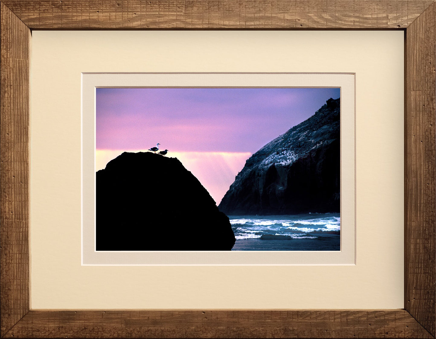 Seagulls Sunset