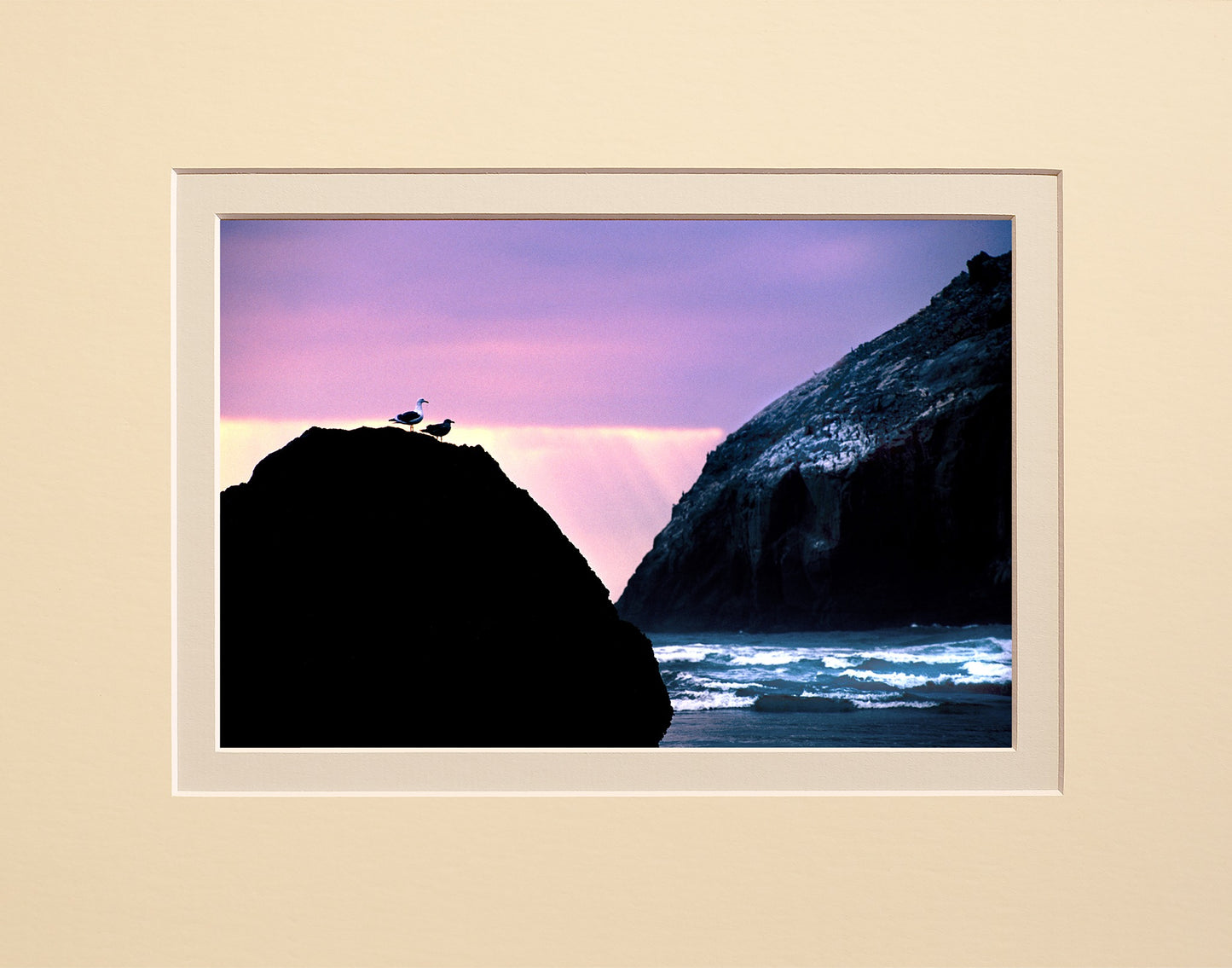 Seagulls Sunset