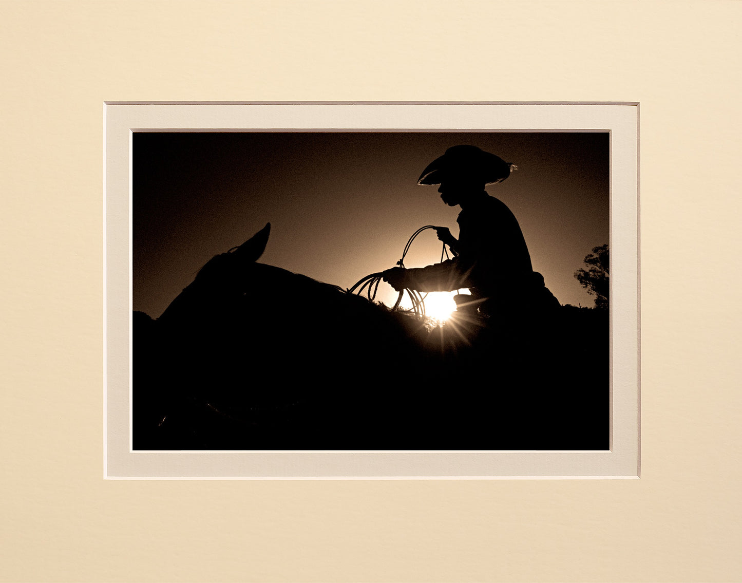 Silhouette