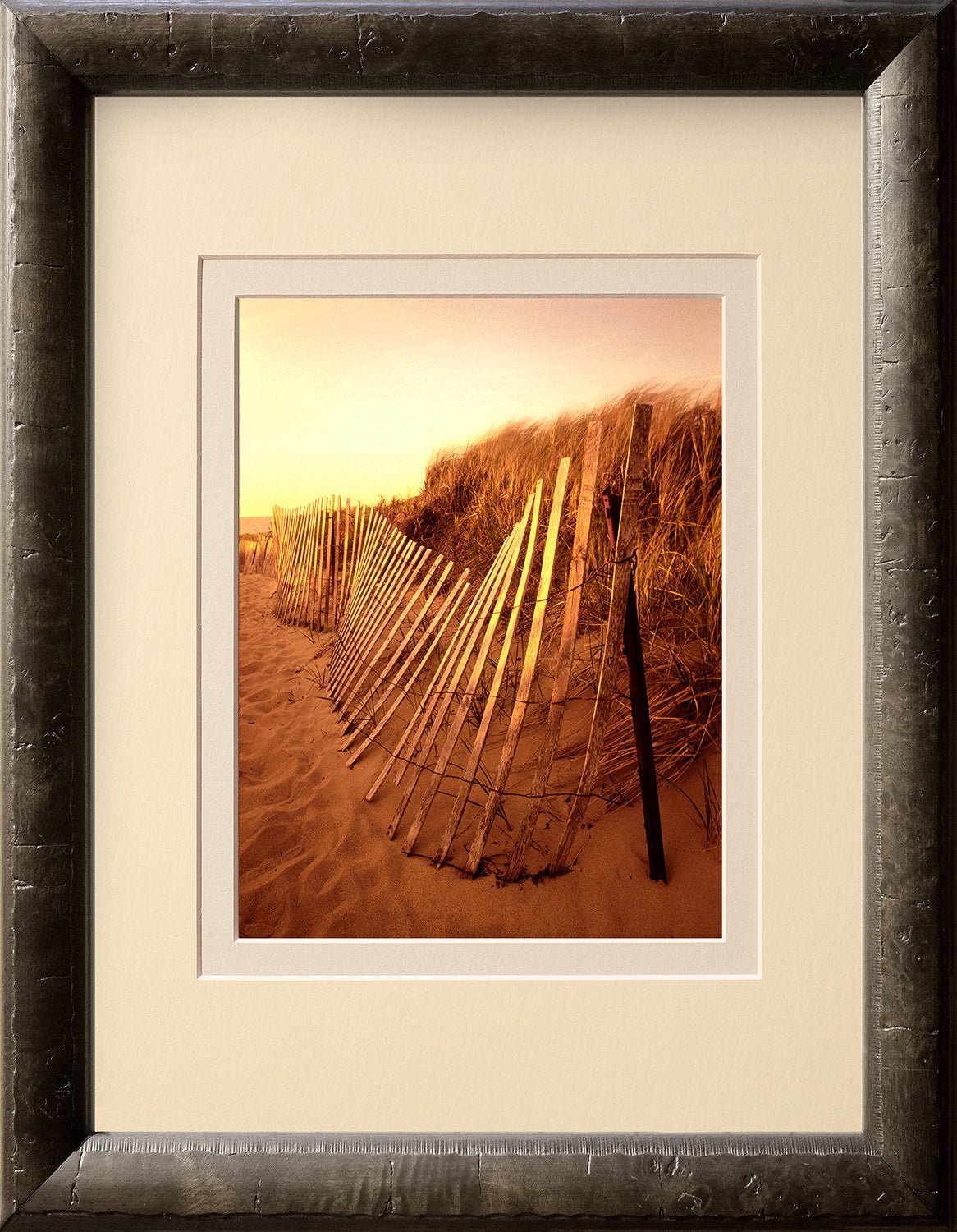 Snow Fence