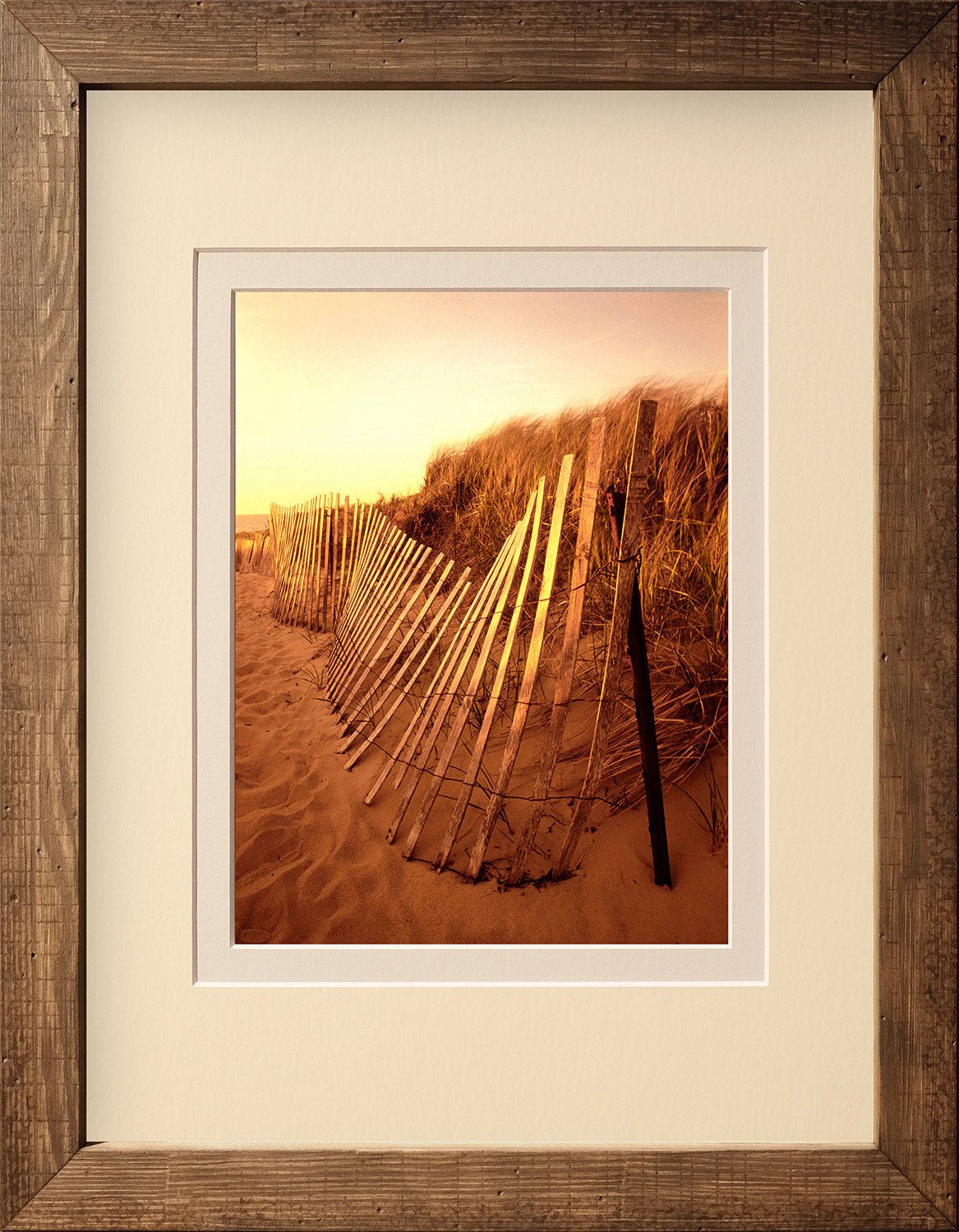 Snow Fence