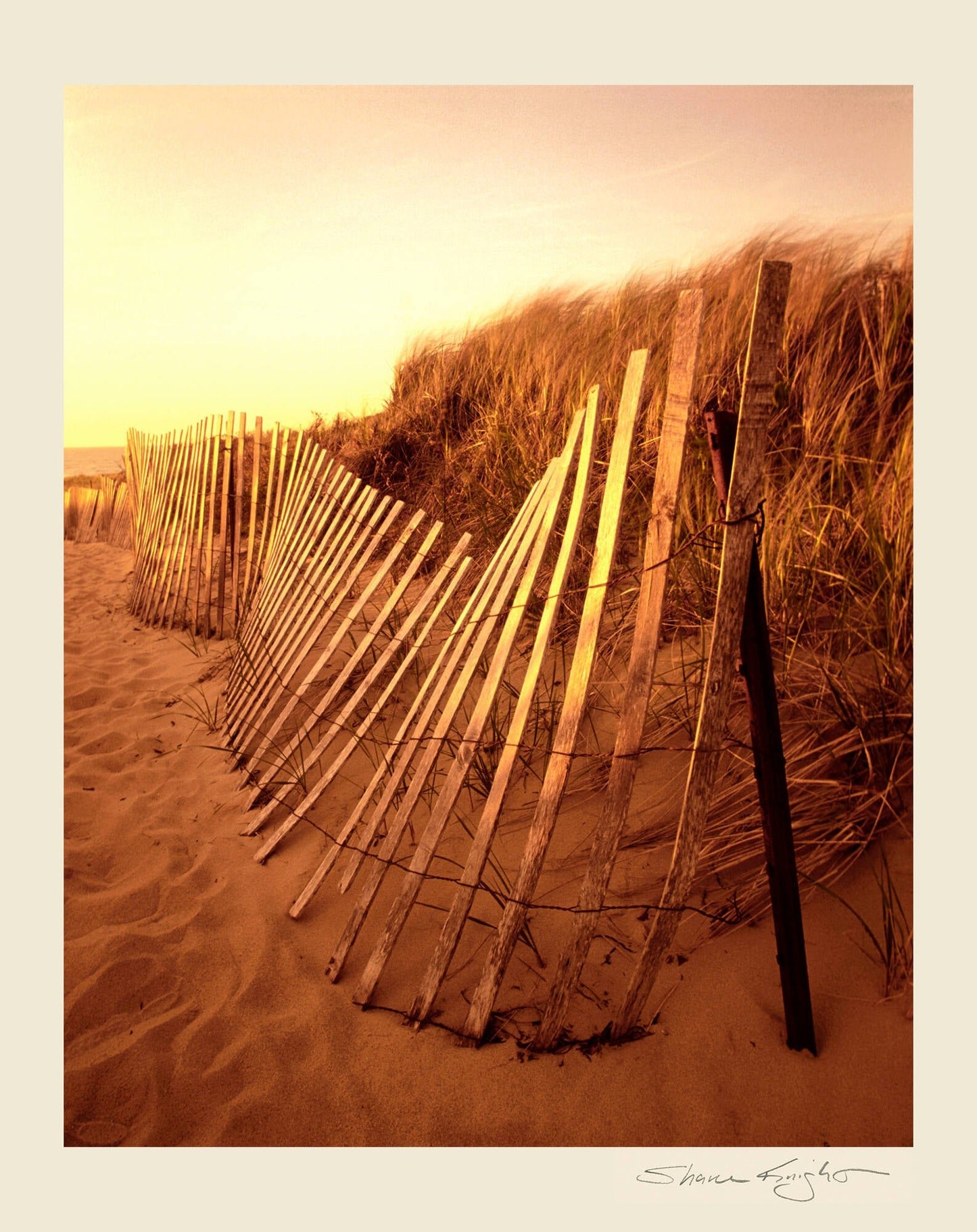 Snow Fence