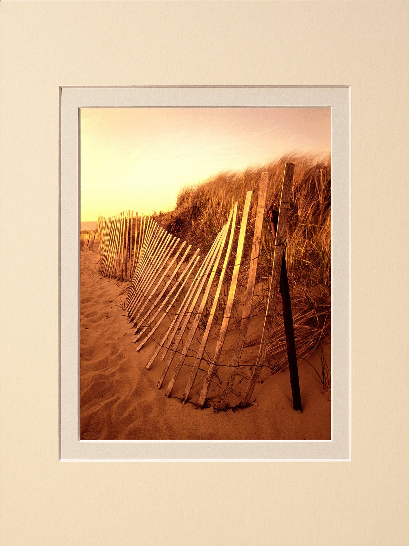 Snow Fence