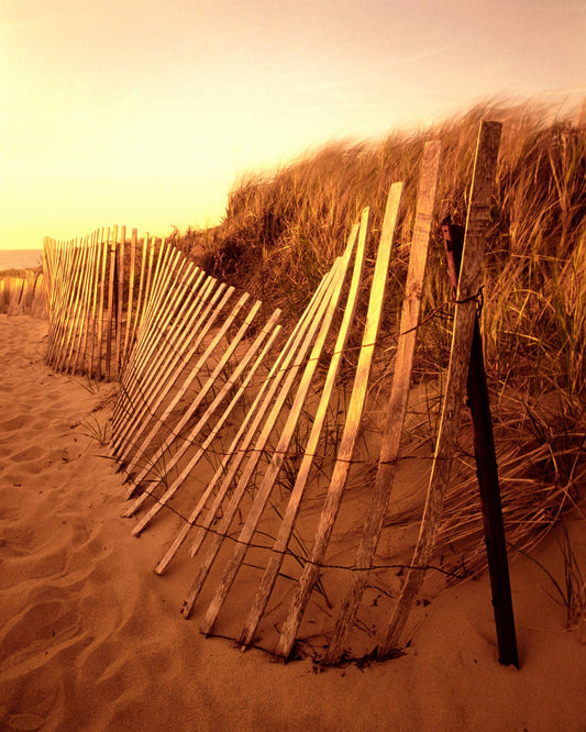 Nantucket Island - snow fence