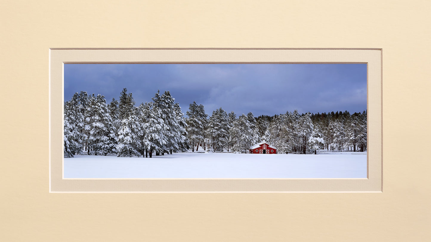 Snowed In