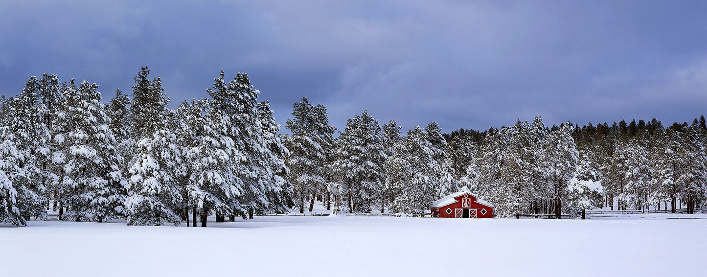 Snowed In