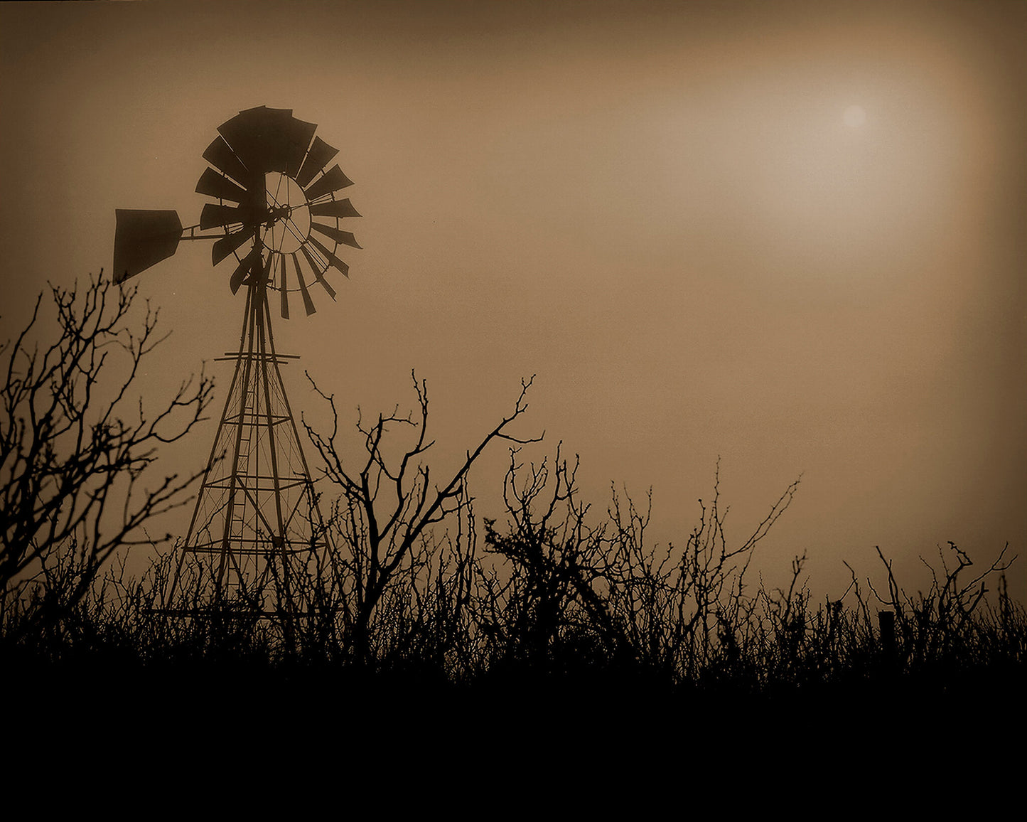Stormy Wind