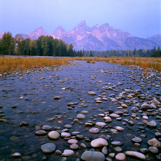 Teton Stream