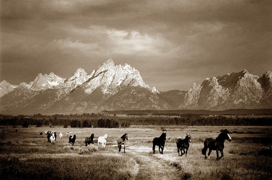 To The Barn