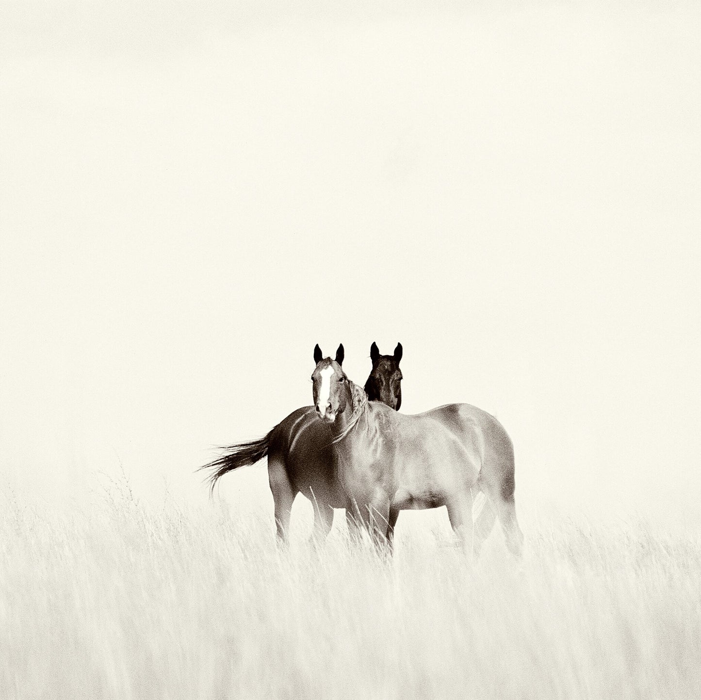 Two to Tango