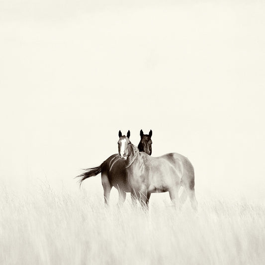 Two to Tango
