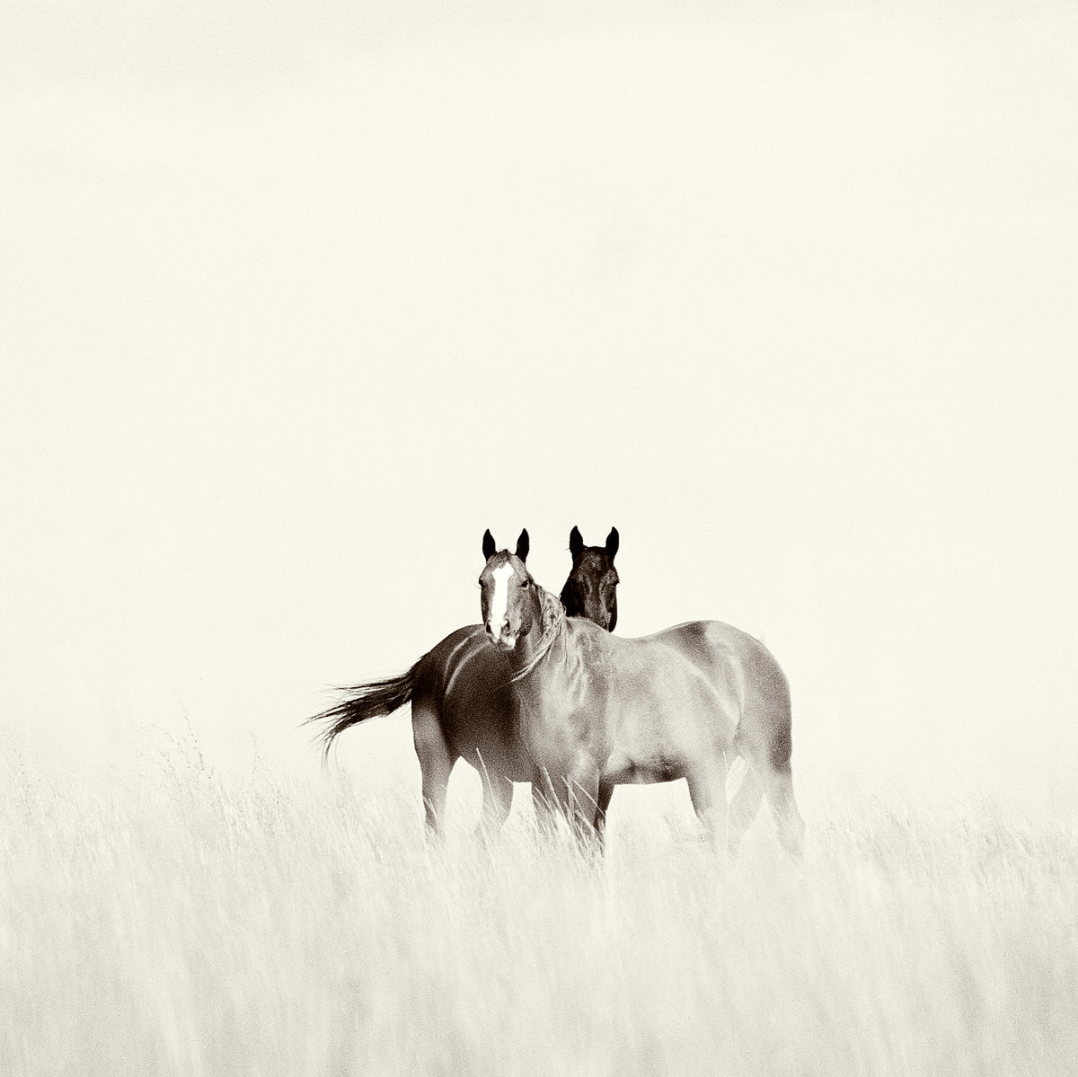 Two to Tango