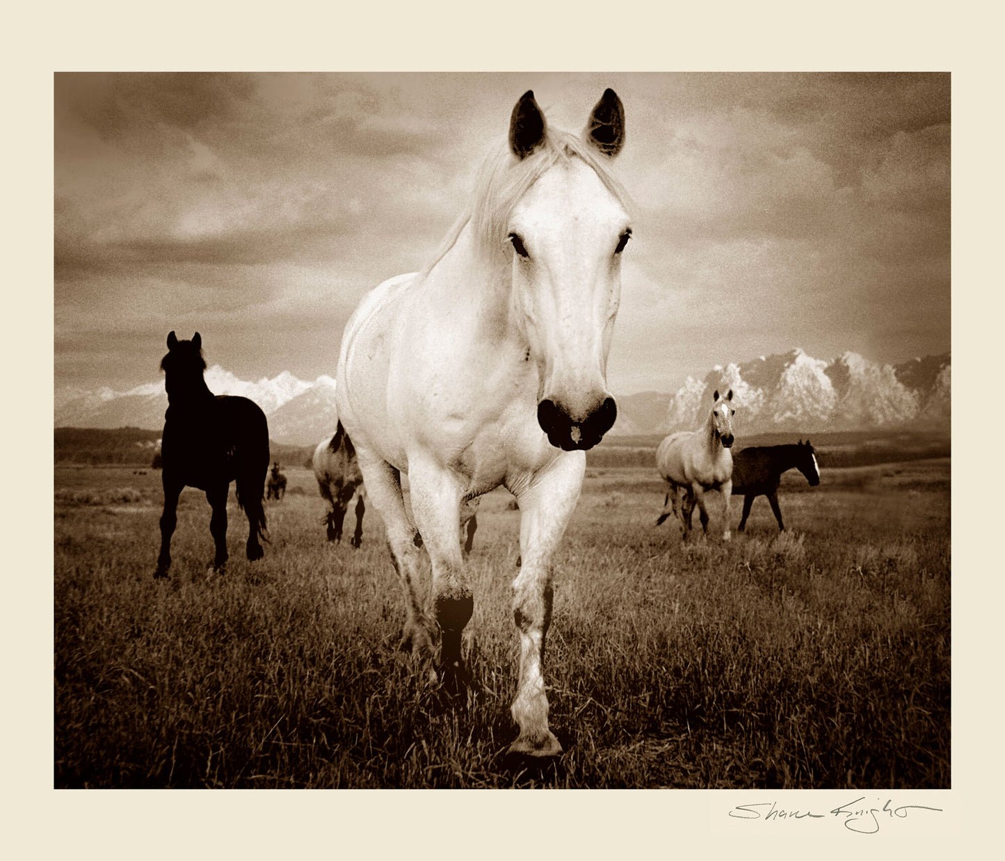 Walking Tall