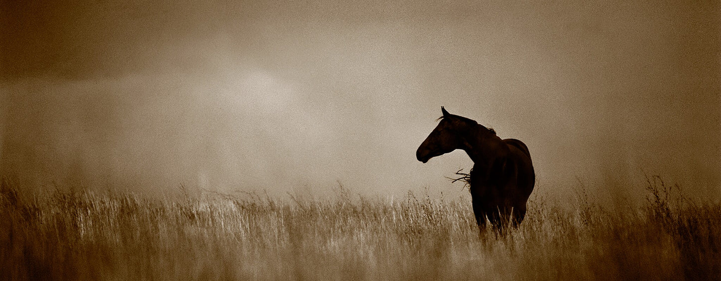 Whisper of Wind