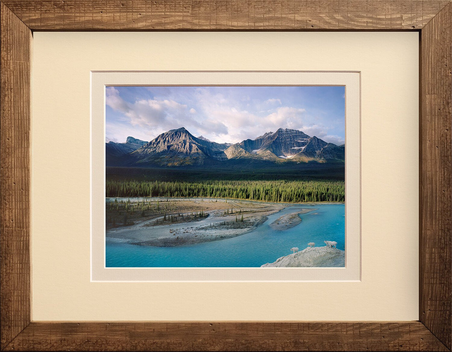 Wild Rocky Mountains