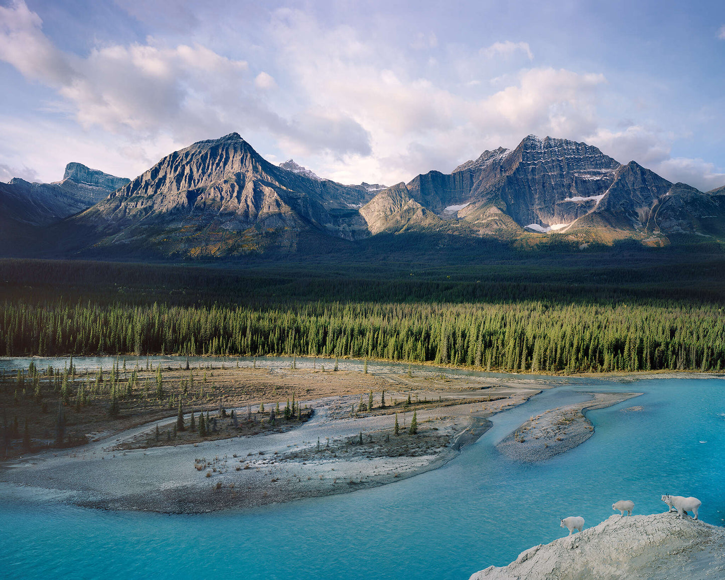 Wild Rocky Mountains
