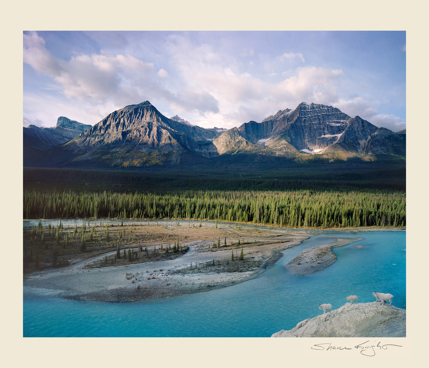 Wild Rocky Mountains
