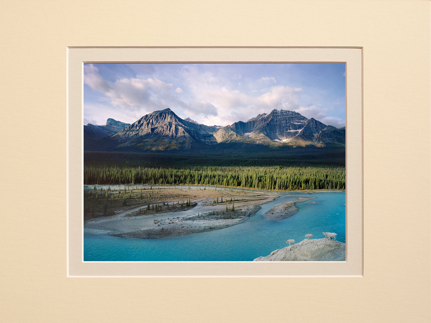 Wild Rocky Mountains