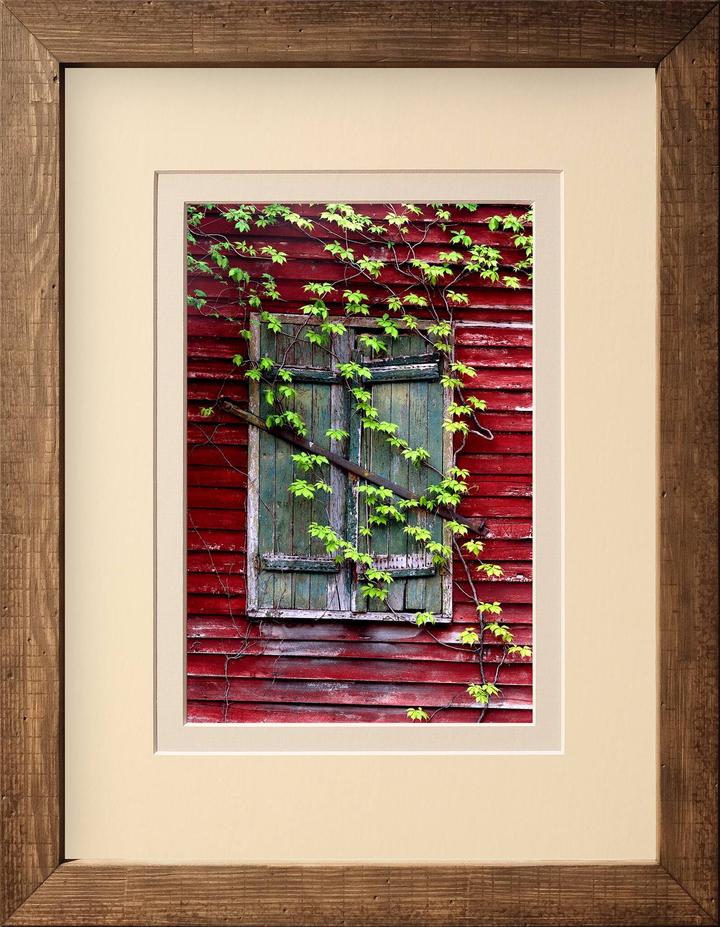 Window of Time