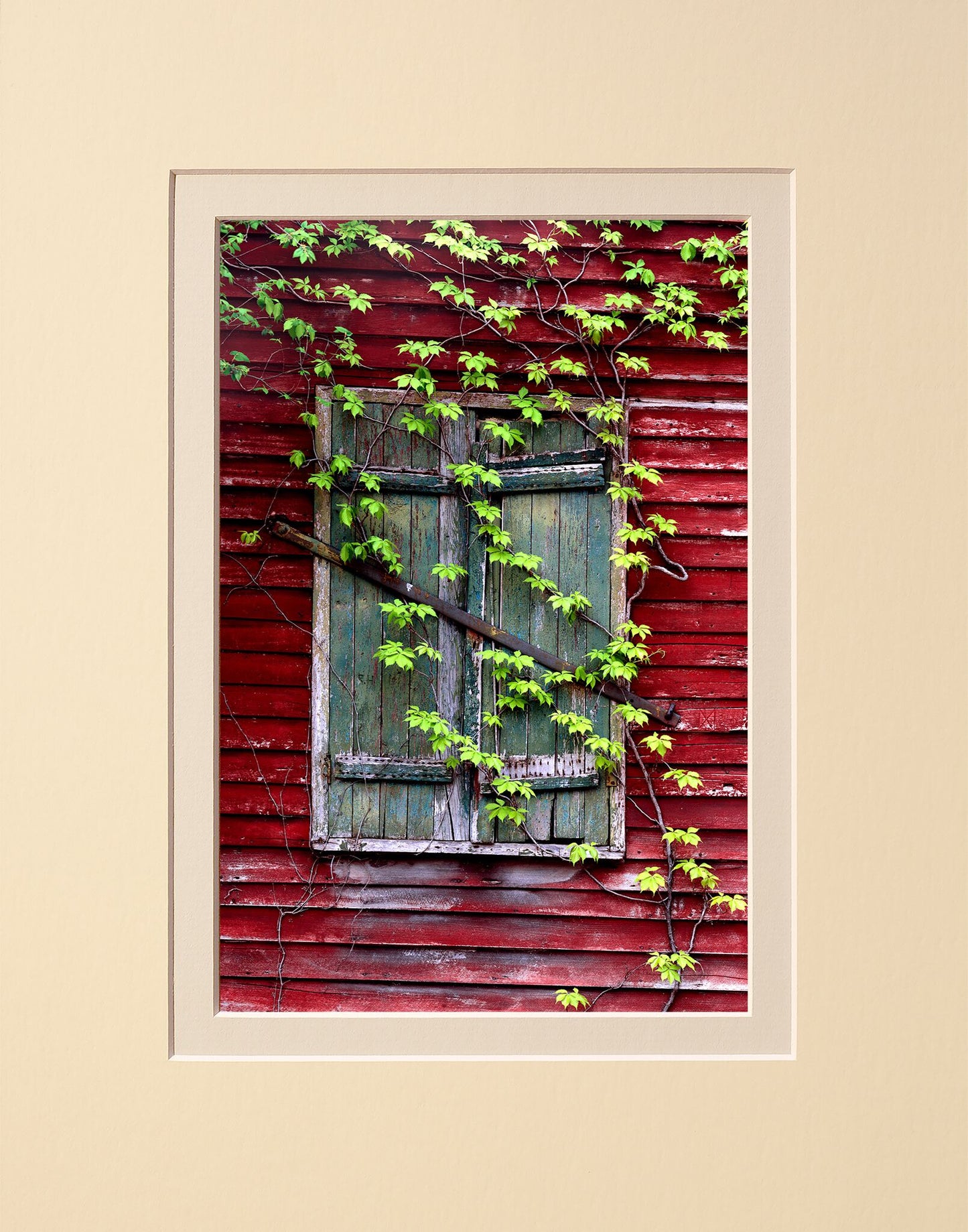 Window of Time
