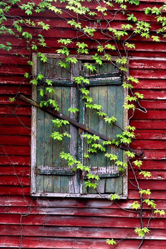 Window of Time