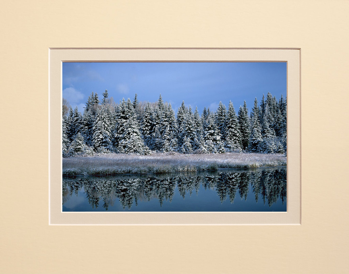 Winter Wonderland