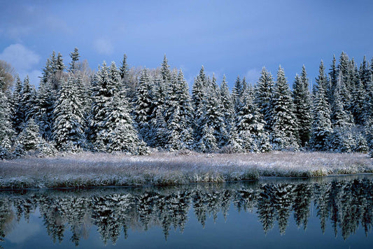 Winter Wonderland