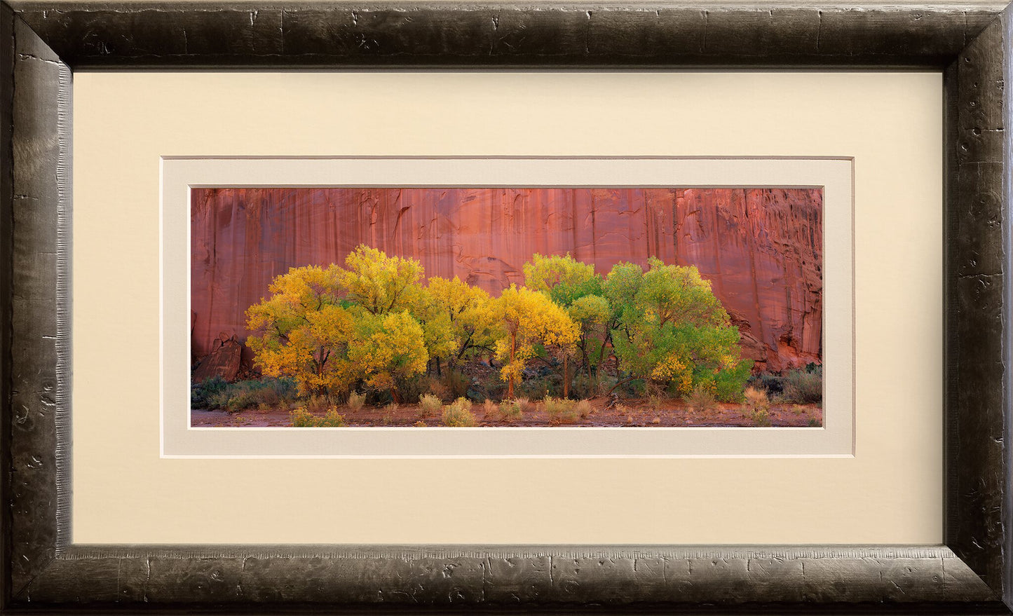 Within the Canyon