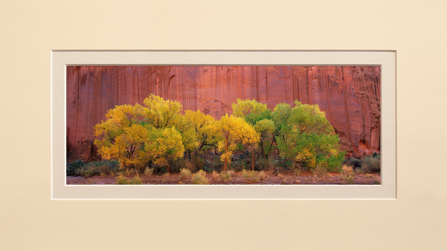 Within the Canyon