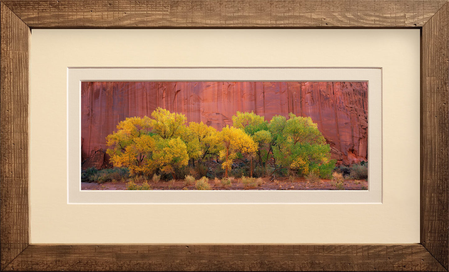Within the Canyon
